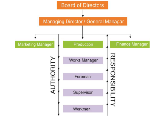 Line Organization Structure