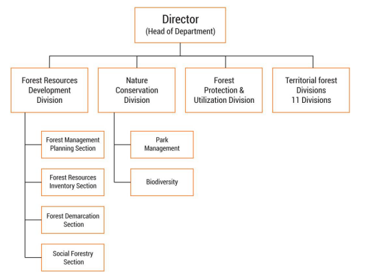 Horizontal organizational chart